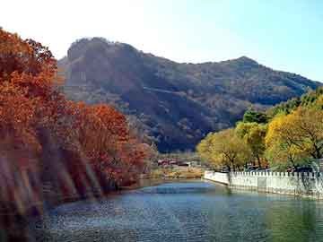 澳门二四六天天彩图库，黑帽seo新手